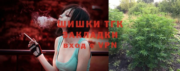 стаф Россошь